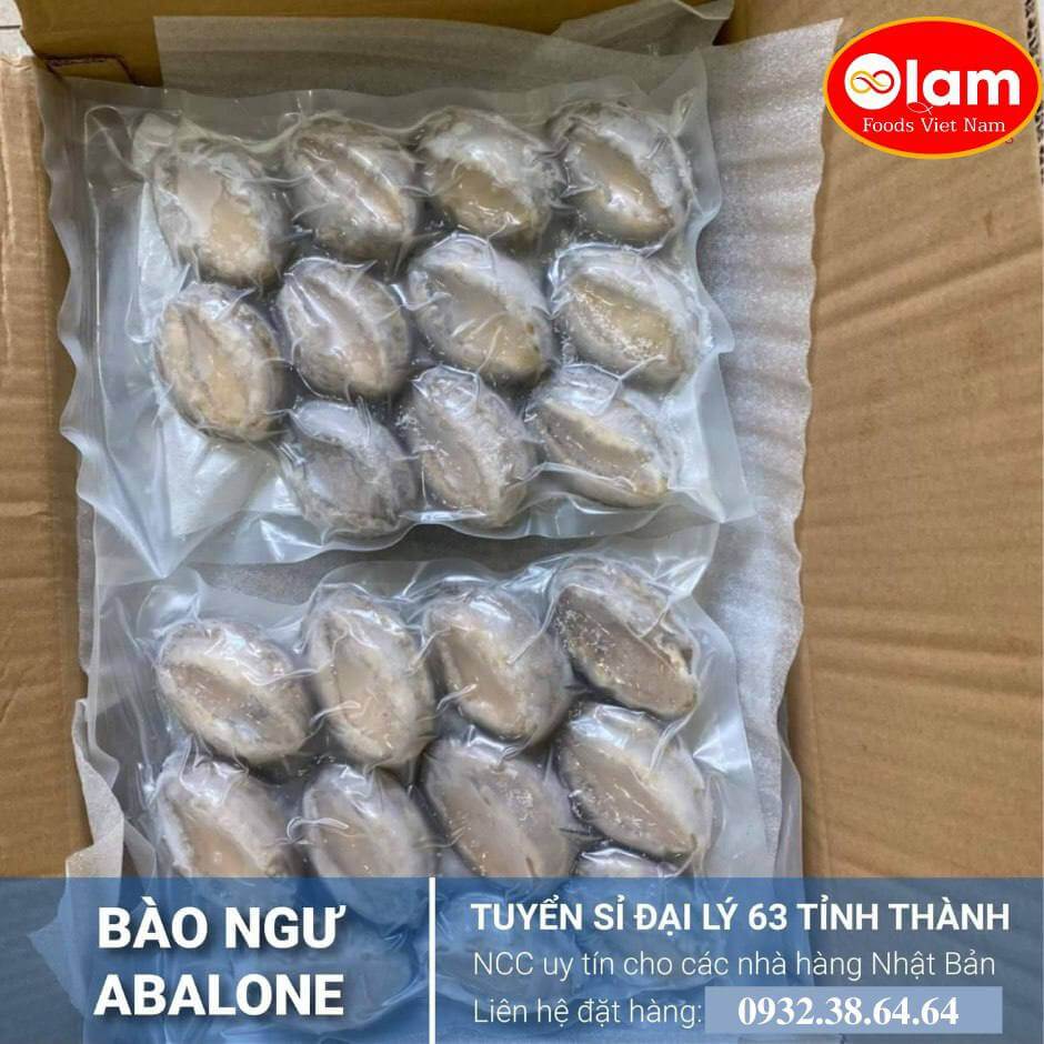 Bào Ngư đông lạnh Nissin / Wholesale HACCP 10kg Packing Frozen Abalone