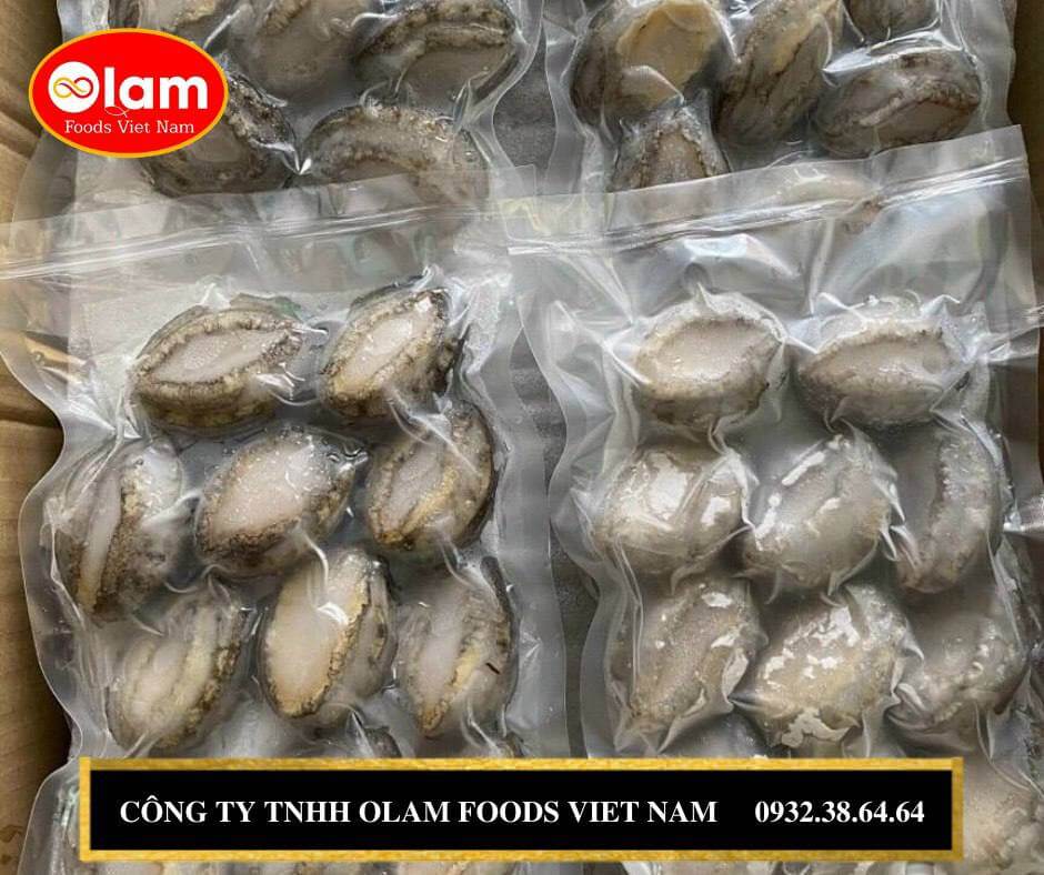 Bào Ngư đông lạnh Nissin / Wholesale HACCP 10kg Packing Frozen Abalone