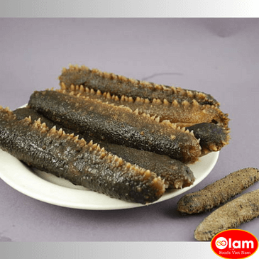 Hải Sâm Canada / Canadian Sea Cucumber