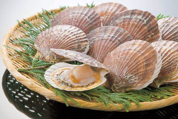 Sò Điệp Nhật Nguyên Vỏ / Wholesale HACCP 10kg Packing Frozen  JP  Scallops