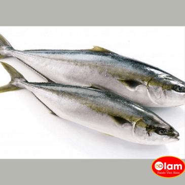 Cá Cam Sọc Clean Seas Nguyên Con / Frozen Yellowtail Fillet