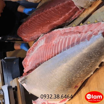 Cá Ngừ Vây Xanh Nhật / Fresh Chutoro, Bluefin Tuna