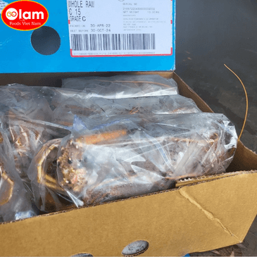 Tôm hùm Úc tươi đông lạnh /  Frozen  Whole Brolos Western Rock Lobster