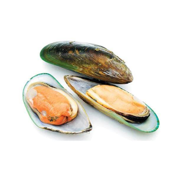 Vẹm Xanh NZ Nửa Mảnh / NZ FZ GREEN MUSSEL Pena canaliculus