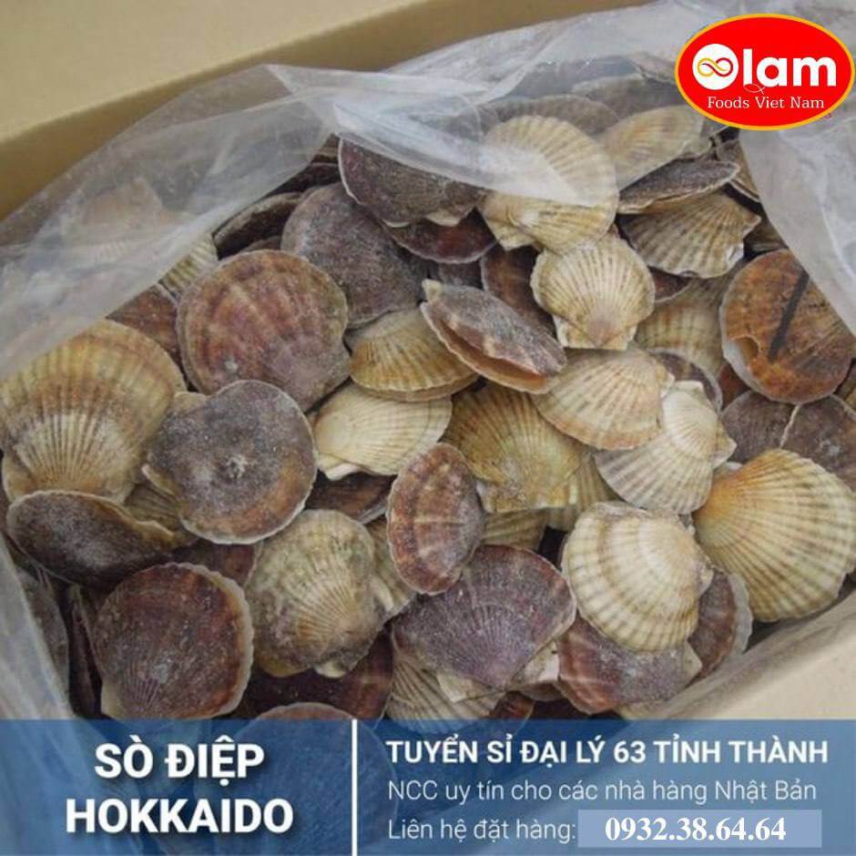 Sò Điệp Nhật Nguyên Vỏ / Wholesale HACCP 10kg Packing Frozen  JP  Scallops