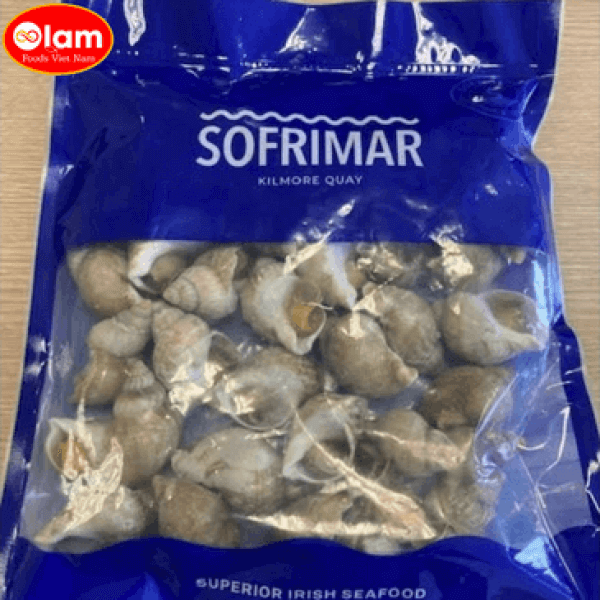 Ốc Bulot Ireland / FZ .Cooked  Whole Whelks