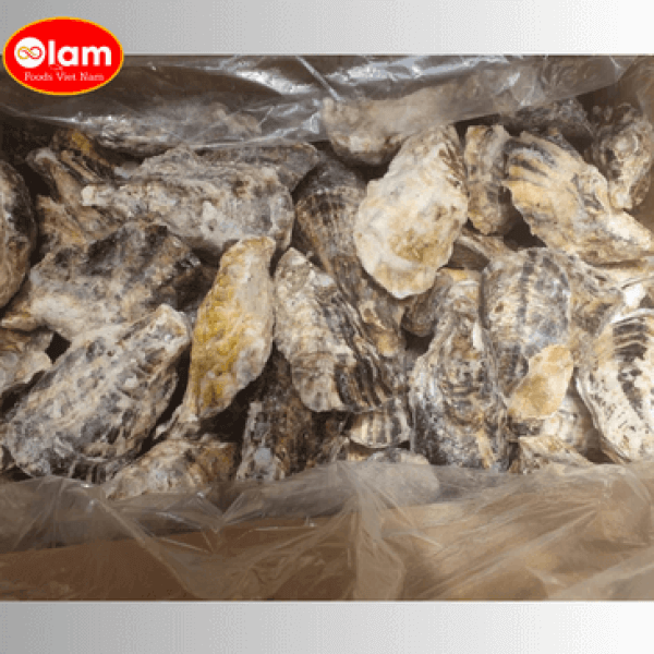 Hàu Nhật Sashimi / Hyogo Oysters (Sashimi-Grade)