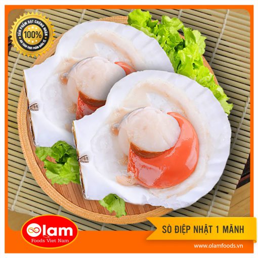 Sò Điệp Nhật Nửa Vỏ